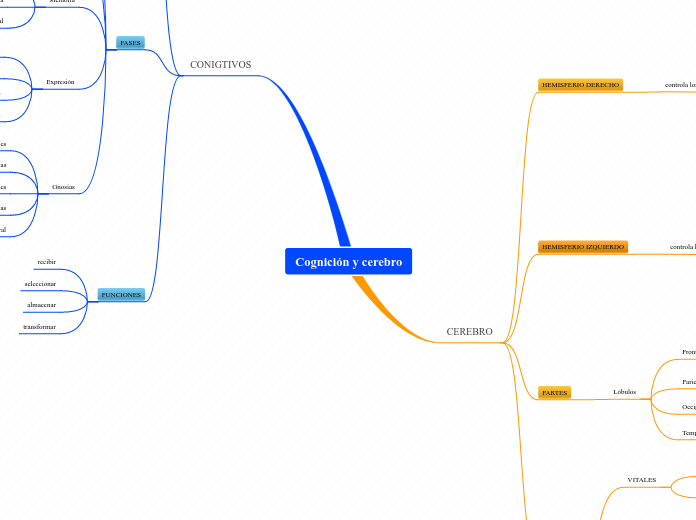 Cognición y cerebro