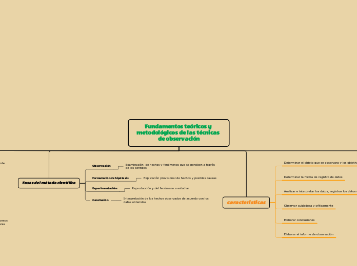 Fundamentos teóricos y metodológicos de las técnicas de observación