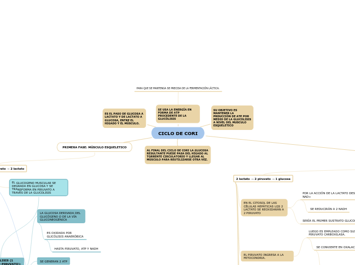 CICLO DE CORI