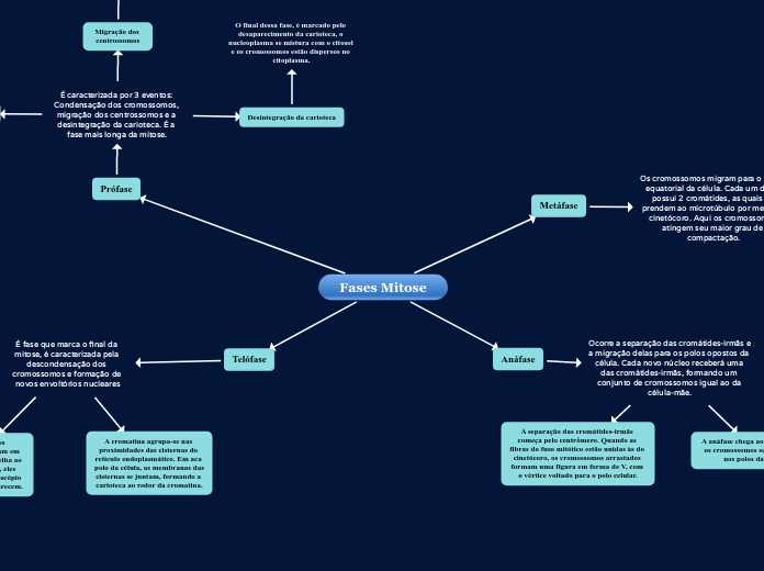 Fases Mitose