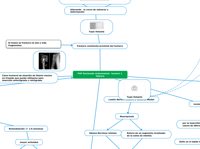POP Enclavado endomedular  humero 1 febrero