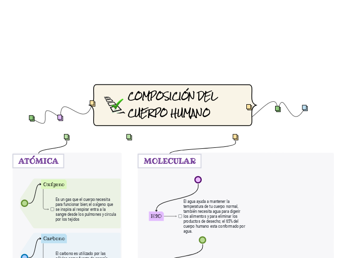 COMPOSICIÓN DEL CUERPO HUMANO