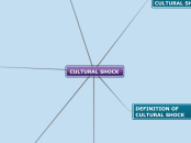 CULTURAL SHOCK