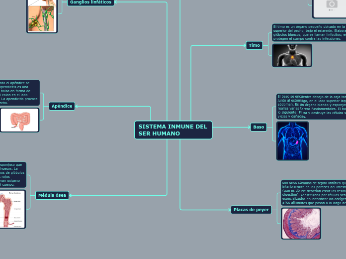 SISTEMA INMUNE DEL SER HUMANO