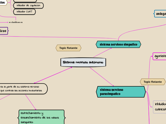 Sistema nervioso autónomo