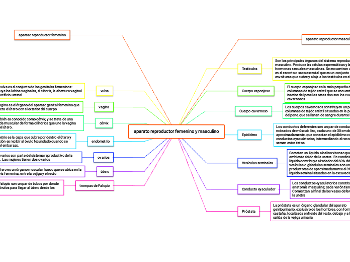 aparato reproductor femenino y masculino