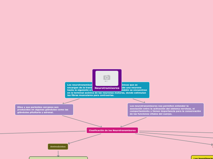 Neurotransmisores