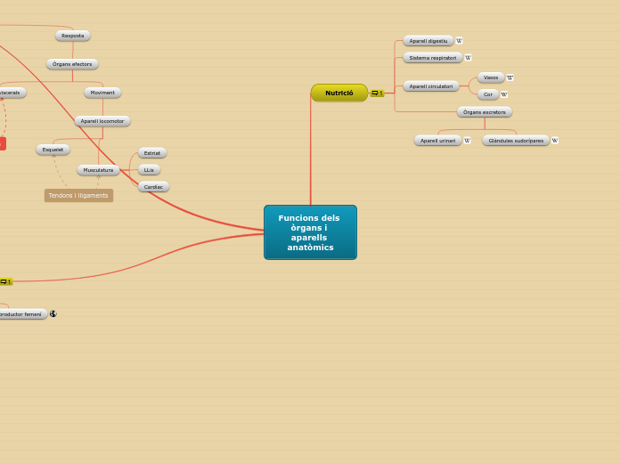 Funcions dels òrgans i aparells anatòmics