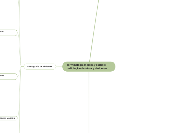 Terminologia medica y estudio radiológico de tórax y abdomen 