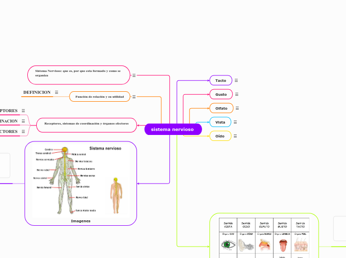 sistema nervioso 