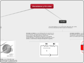 Mecanismos y Circuitos