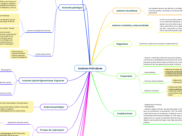 Lesiones Articulares