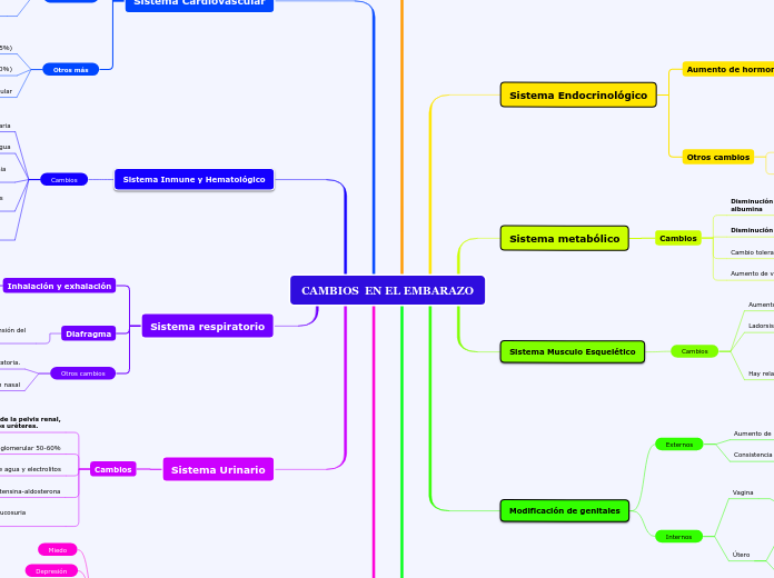 CAMBIOS  EN EL EMBARAZO