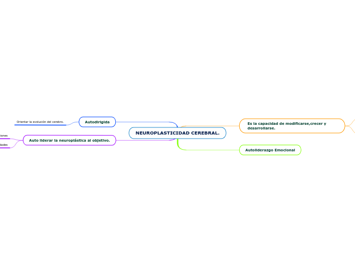 NEUROPLASTICIDAD CEREBRAL.