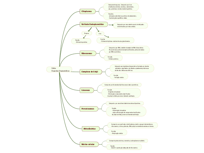 Célula 
Organelas Citoplasmáticas