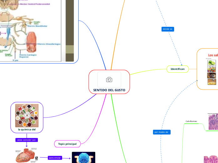 SENTIDO DEL GUSTO