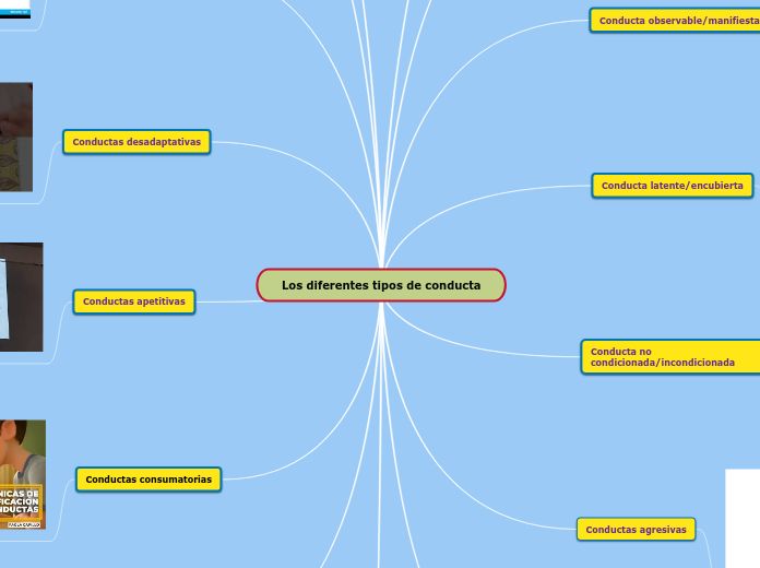 Los diferentes tipos de conducta