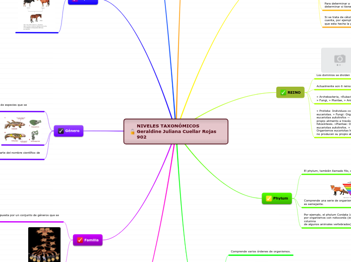NIVELES TAXONÓMICOS Geraldine Juliana Cuellar Rojas 902