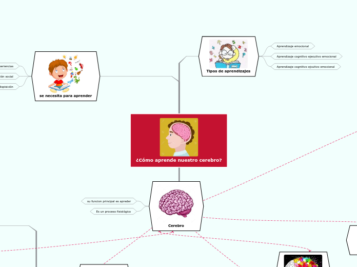 ¿Cómo aprende nuestro cerebro?