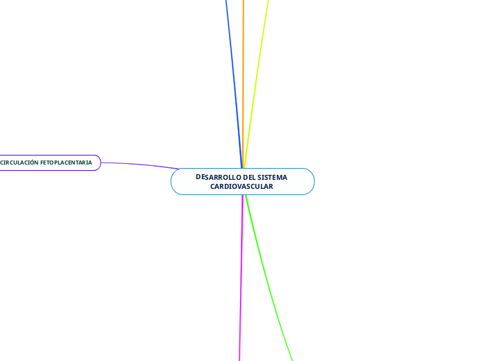 DESARROLLO DEL SISTEMA CARDIOVASCULAR 