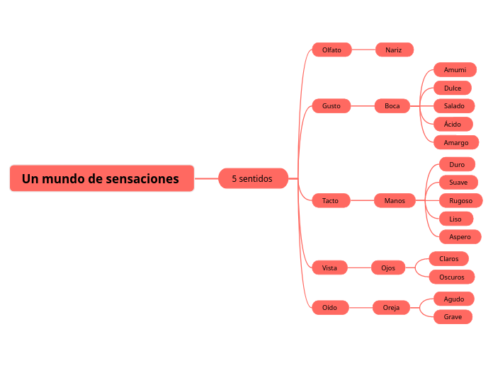 Un mundo de sensaciones 