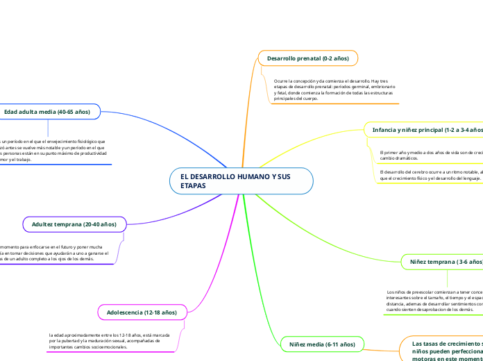 EL DESARROLLO HUMANO Y SUS ETAPAS