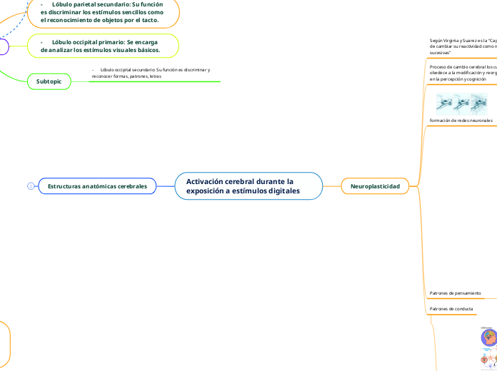 Activación cerebral durante la exposición a estímulos digitales