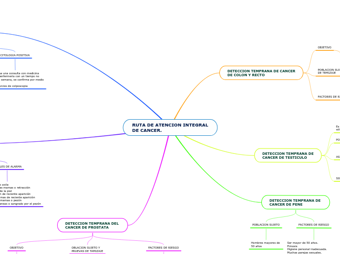 RUTA DE ATENCION INTEGRAL
DE CANCER.