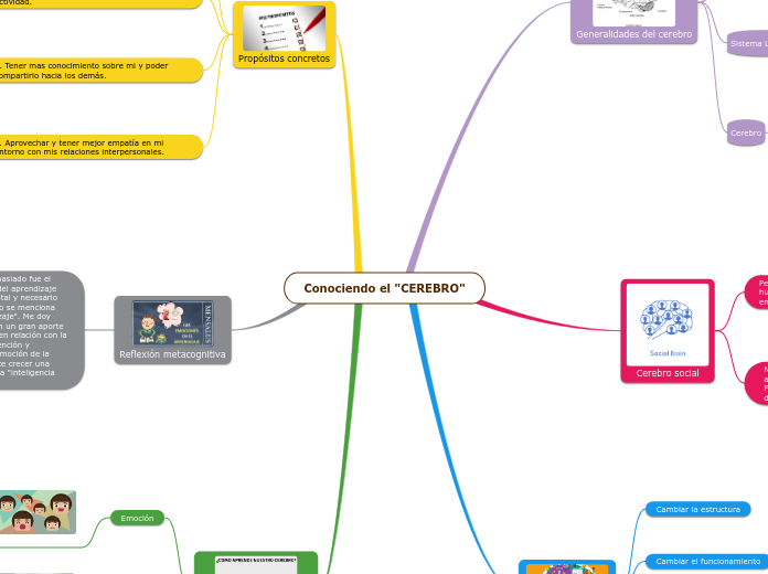 Conociendo el "CEREBRO"