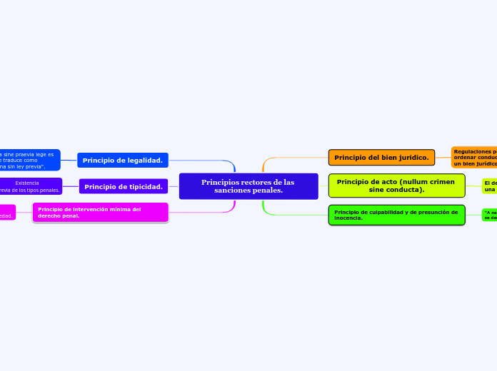 Principios rectores de las sanciones penales.