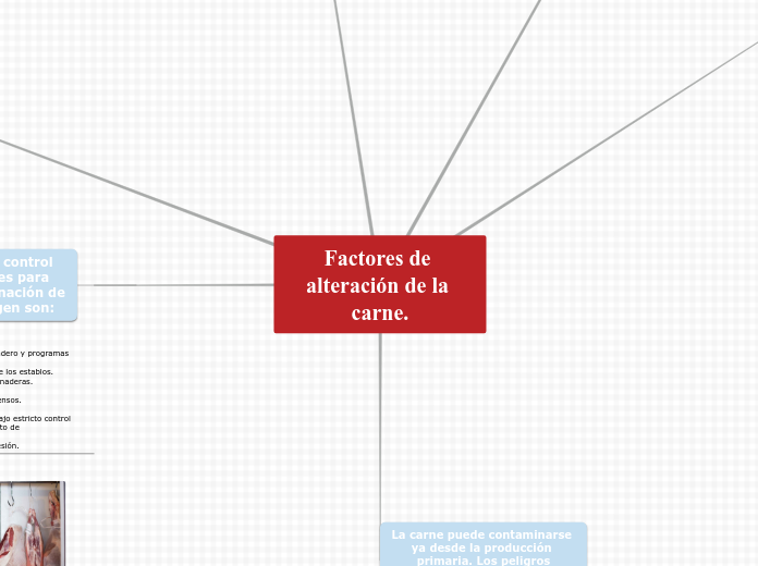 Factores de alteración de la carne.