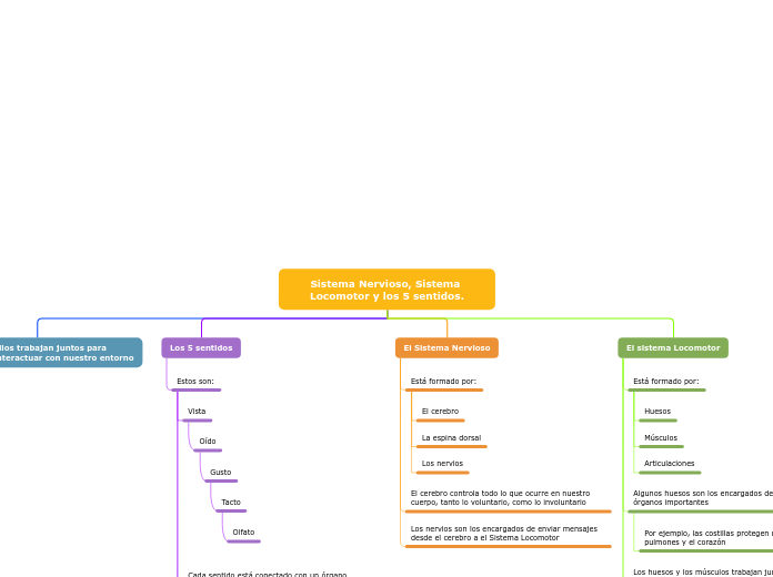 Sistema Nervioso, Sistema Locomotor y los 5 sentidos.