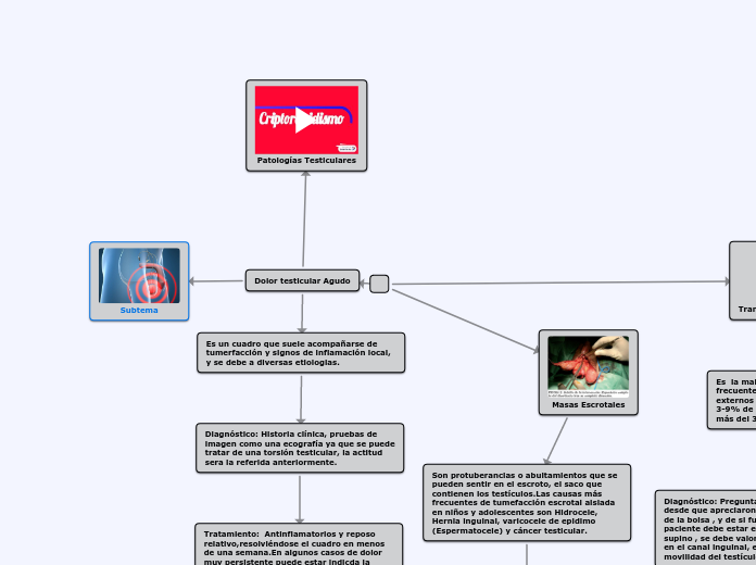 Patologias Testiculares