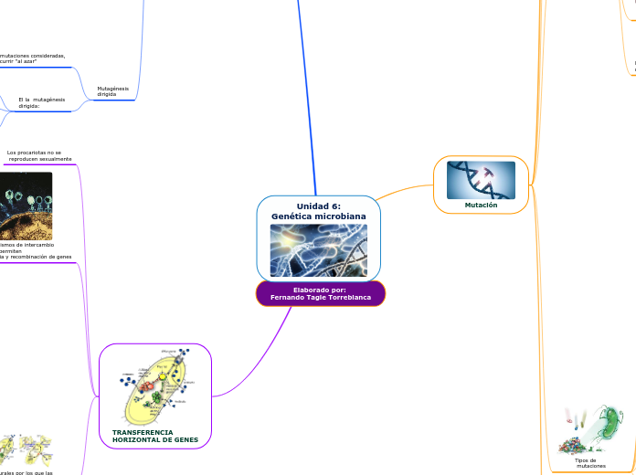 Unidad 6:Genética microbiana