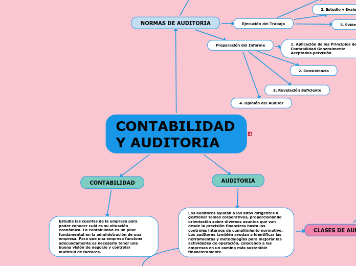 CONTABILIDAD Y AUDITORIA