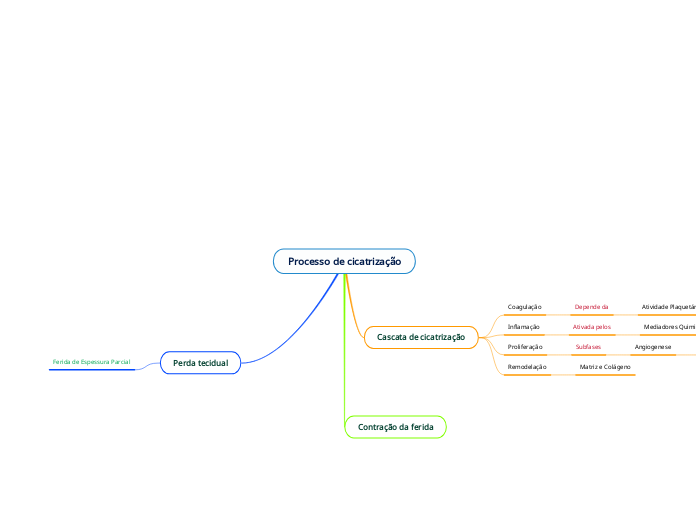 Processo de cicatrização