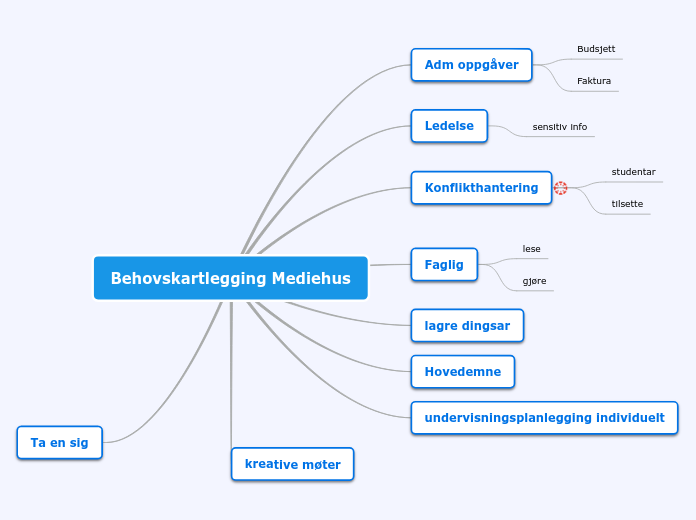 Behovskartlegging Mediehus