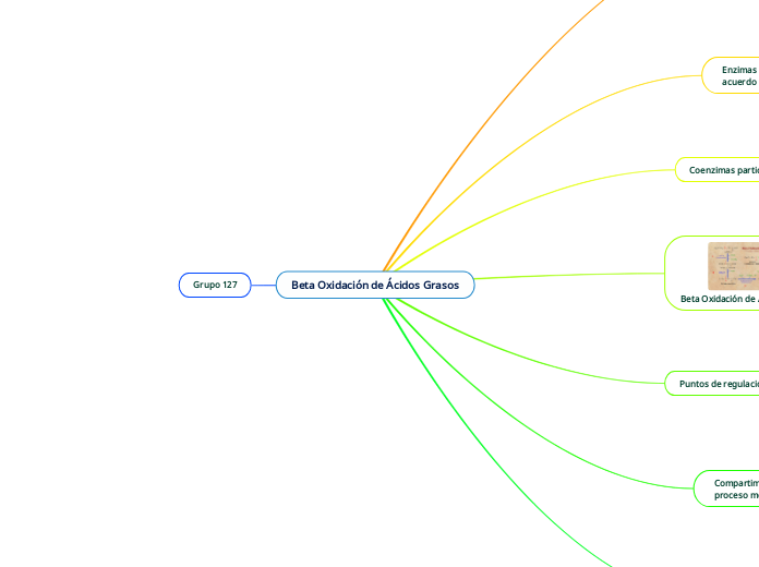 Beta Oxidación de Ácidos Grasos