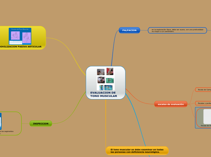 EVALUACION DE TONO MUSCULAR