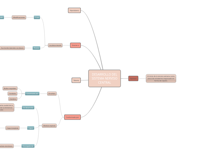 DESARROLLO DEL SISTEMA NERVISO CENTRAL
