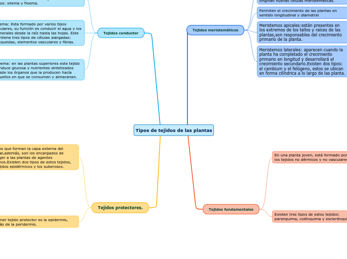 Tipos de tejidos de las plantas