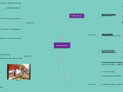 Chp 4 Nutrients