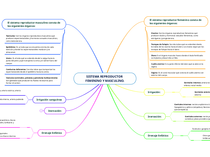 SISTEMA REPRODUCTOR FEMENINO Y MASCULINO.