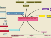 Sample Mind Map