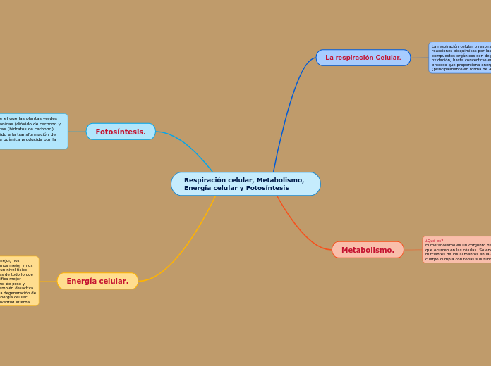 Respiración celular, Metabolismo, Energía celular y Fotosíntesis