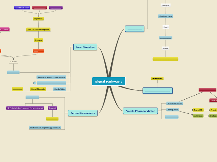 Sample Mind Map