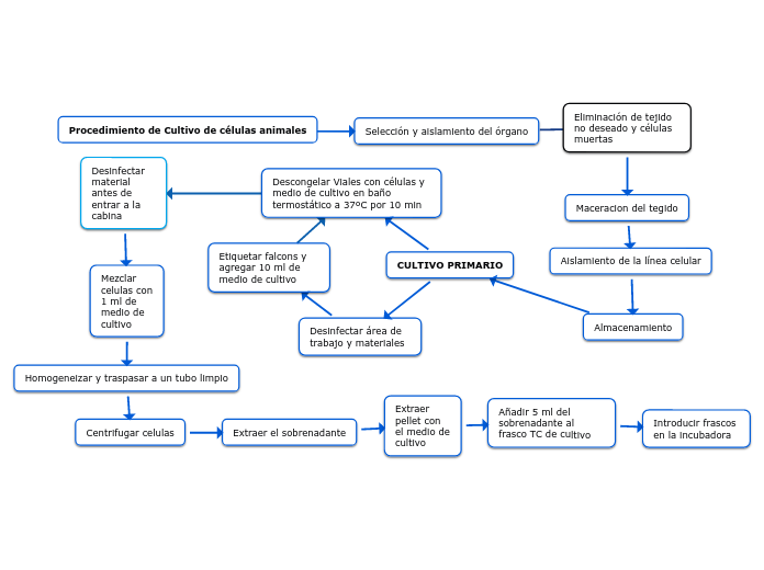 Procedimiento de Cultivo de células animales