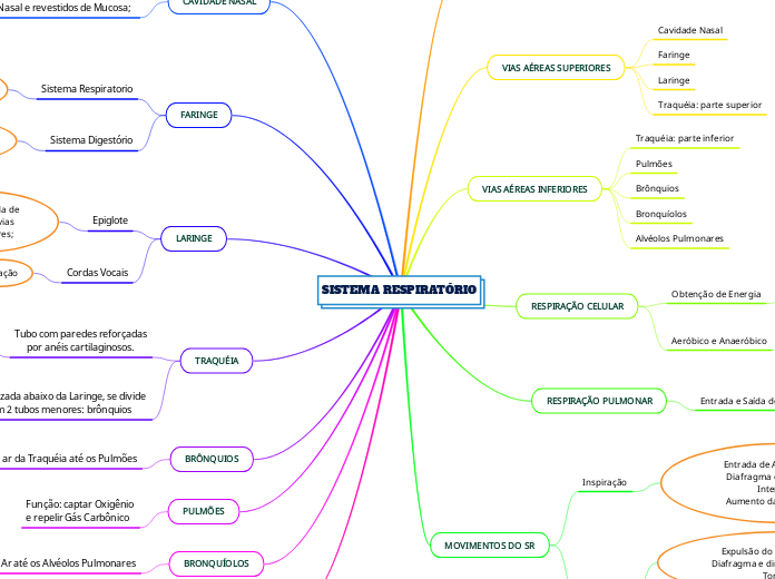 SISTEMA RESPIRATÓRIO