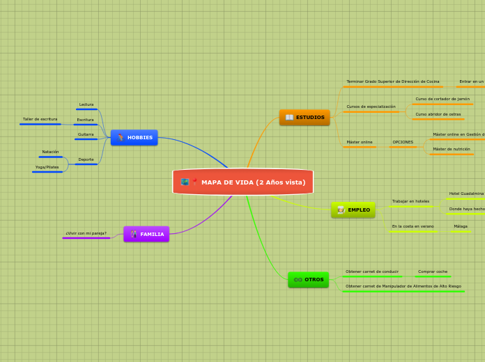 MAPA DE VIDA (2 Años vista)