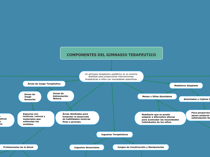 COMPONENTES DEL GIMNASIO TERAPEUTICO